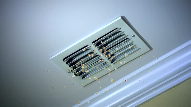 Best HVAC Air Duct Cleaning  in Atkinson, IL